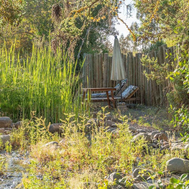 La Colmena Glamping Reina - Apartment - 81