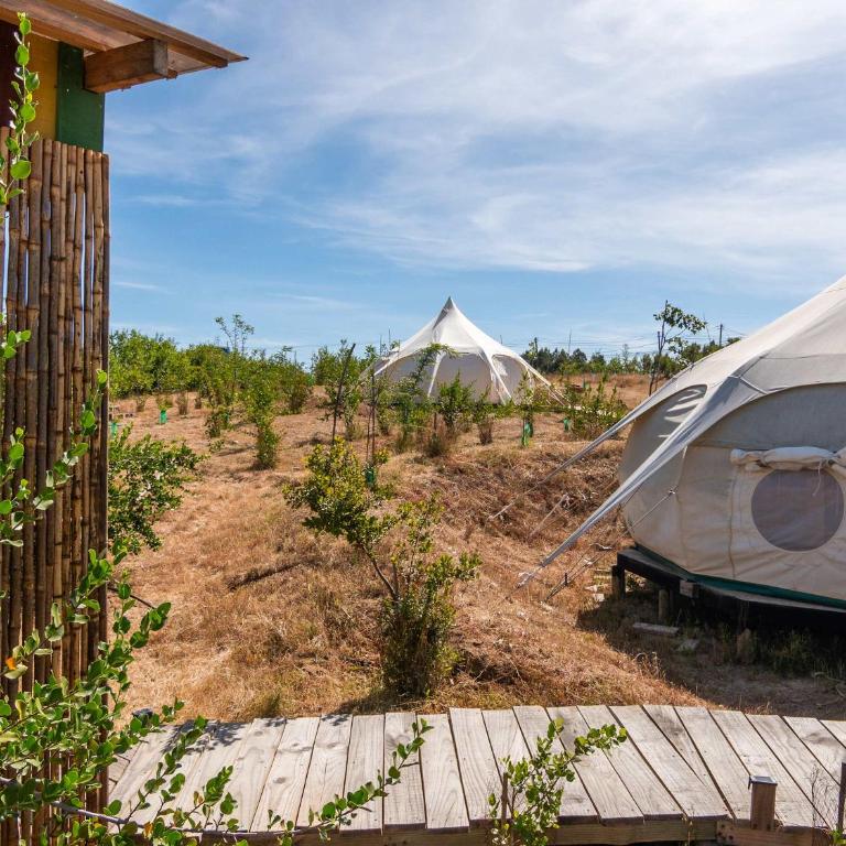 La Colmena Glamping Zangano - Tent - 48