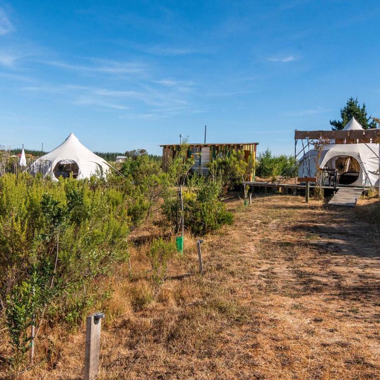La Colmena Glamping Zangano - Tent - 78