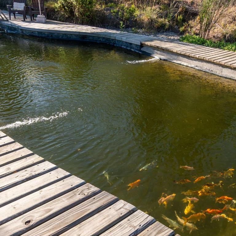 La Colmena Glamping Zangano - Tent - 89