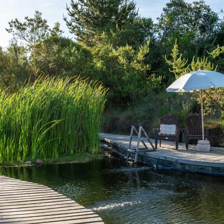 La Colmena Glamping Zangano - Tent - 98