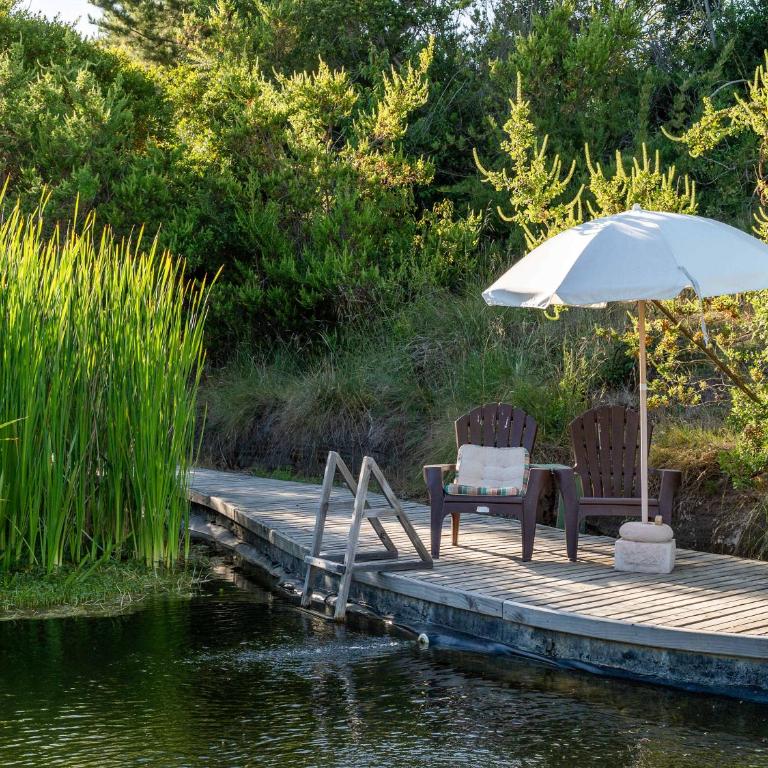 La Colmena Glamping Zangano - Tent - 99