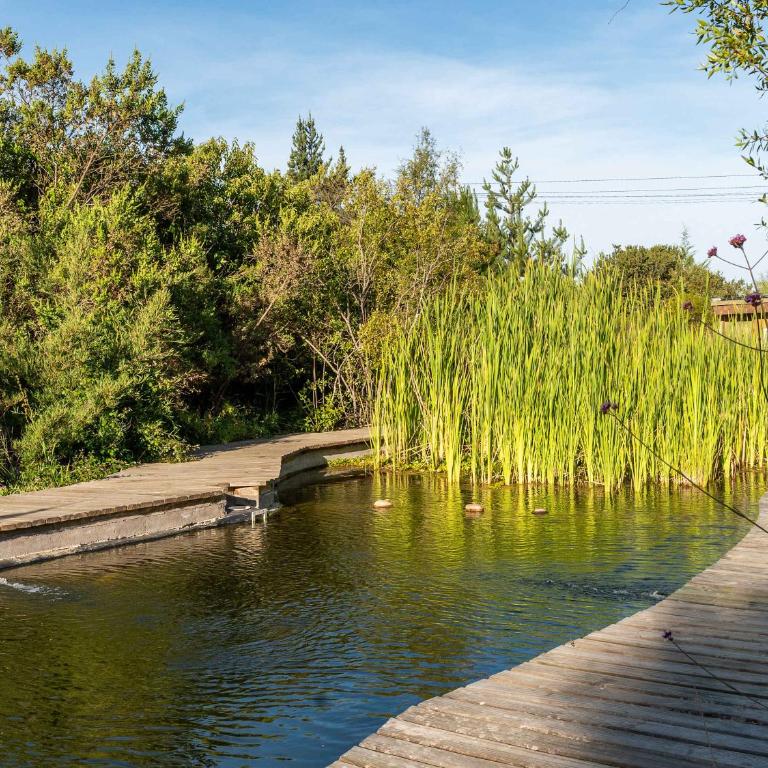La Colmena Glamping Zangano - Tent - 100