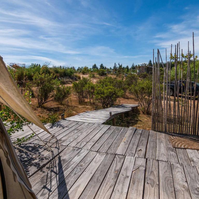La Colmena Glamping Obrera - Tent - 15