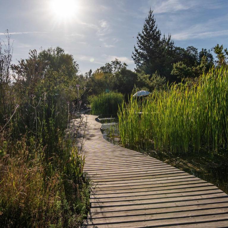 La Colmena Glamping Obrera - Tent - 74