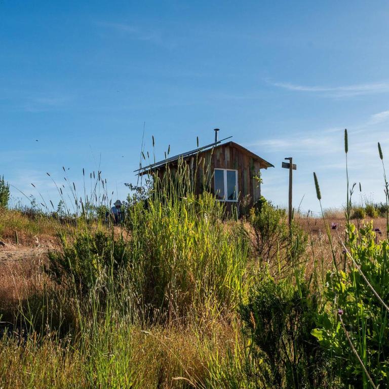 La Colmena Glamping Obrera - Tent - 85