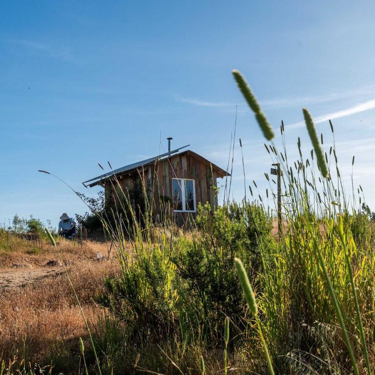 La Colmena Glamping Obrera - Tent - 86