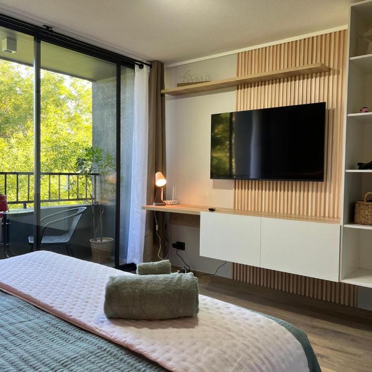 Central Studio Apartment near Movistar Arena - One-Bedroom Apartment - 20