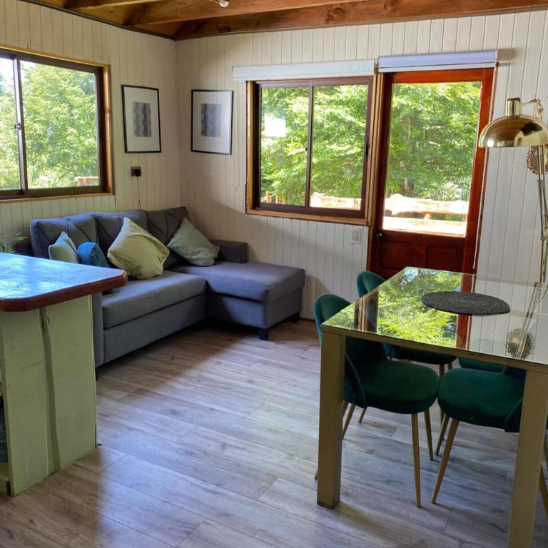 Cabaña linda Y cómoda en Caburgua - Apartamento de 2 dormitorios - 6