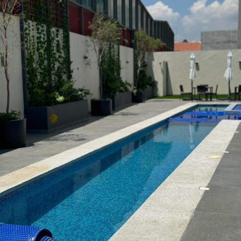 Depa - Estadio Guadalajara - Ciudad Judicial - Apartamento de 1 dormitorio - 16