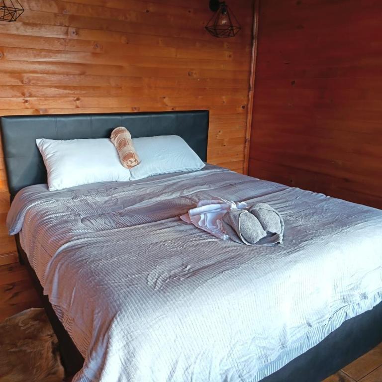 Glamping Mirador al Cielo - Double Room with Balcony - 1