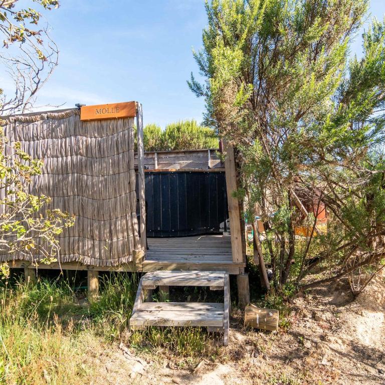 Picaflor - Tent - 68