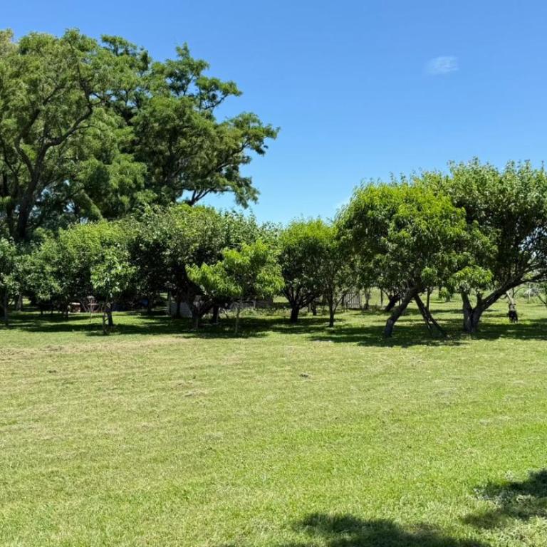 La carmenza - Three-Bedroom House - 3