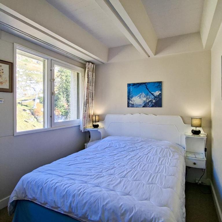 Appartement spacieux, ski aux pieds, balcon, 3 pièces, 6-8 personnes - FR-1-425-238 - Appartement - 3