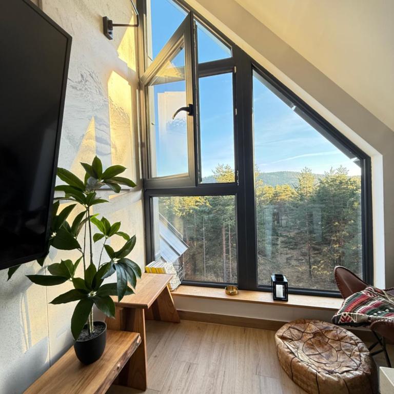 Divčibarski kutak - Apartman sa 1 Spavaćom Sobom - 19