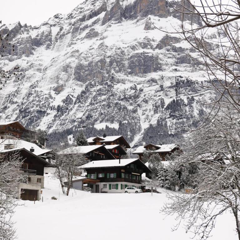 Brand New, 5min to Ski PARADISE ! - Apartment - 25