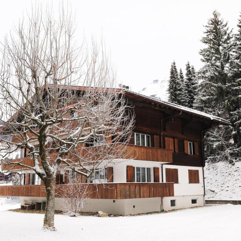 Brand New, 5min to Ski PARADISE ! - Apartment - 30