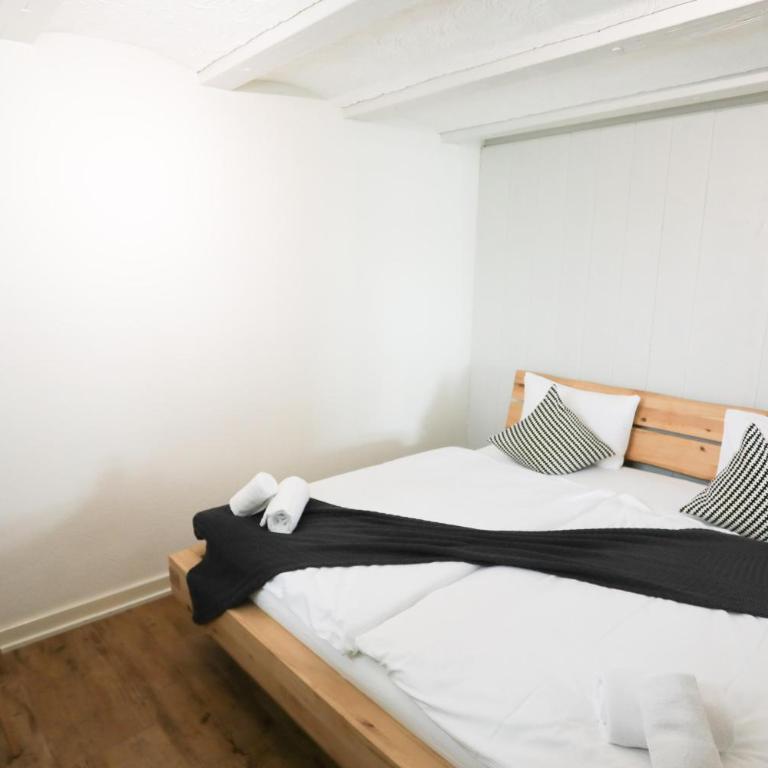 Brand New, 5min to Ski PARADISE ! - Apartment - 14