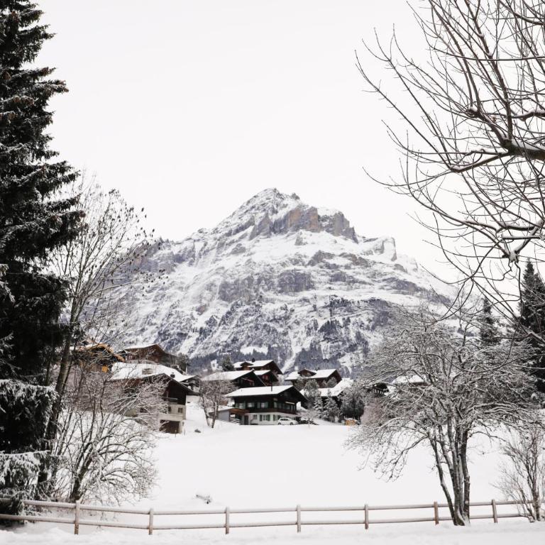 Brand New, 5min to Ski PARADISE ! - Apartment - 26