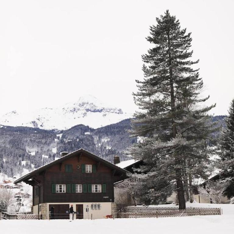 Brand New, 5min to Ski PARADISE ! - Apartment - 33