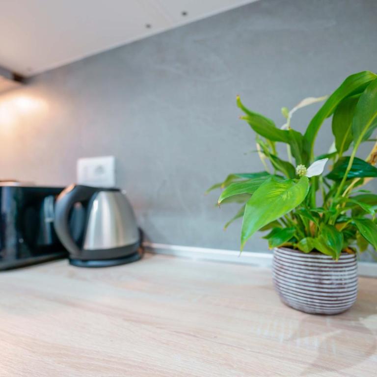 Levante Collection by Lesdomus - Appartamento Strategico Ospedale Sant'Orsola - Appartamento Monolocale - 4