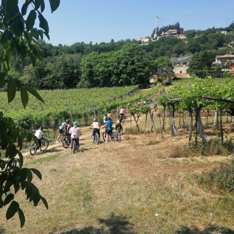 Villa Avesa - Villa - 39