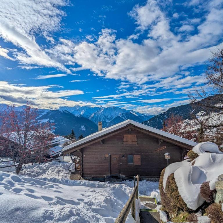 Appartement-chalet à Verbier près des pistes - Appartement 2 Chambres - 25
