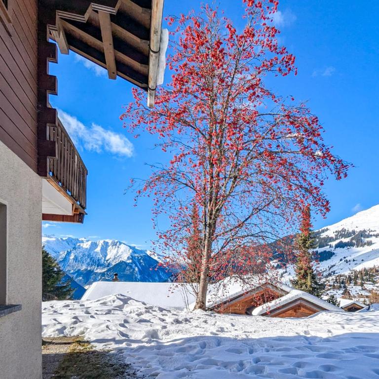 Appartement-chalet à Verbier près des pistes - Appartement 2 Chambres - 35