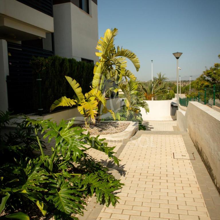 Sunny Place Oasis del Sol - Two-Bedroom Apartment - 73
