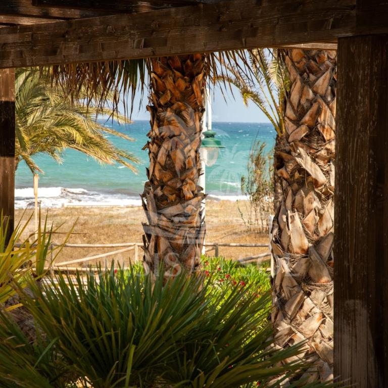 Sunny Place Oasis del Sol - Two-Bedroom Apartment - 92