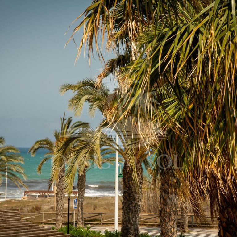 Sunny Place Oasis del Sol - Two-Bedroom Apartment - 93