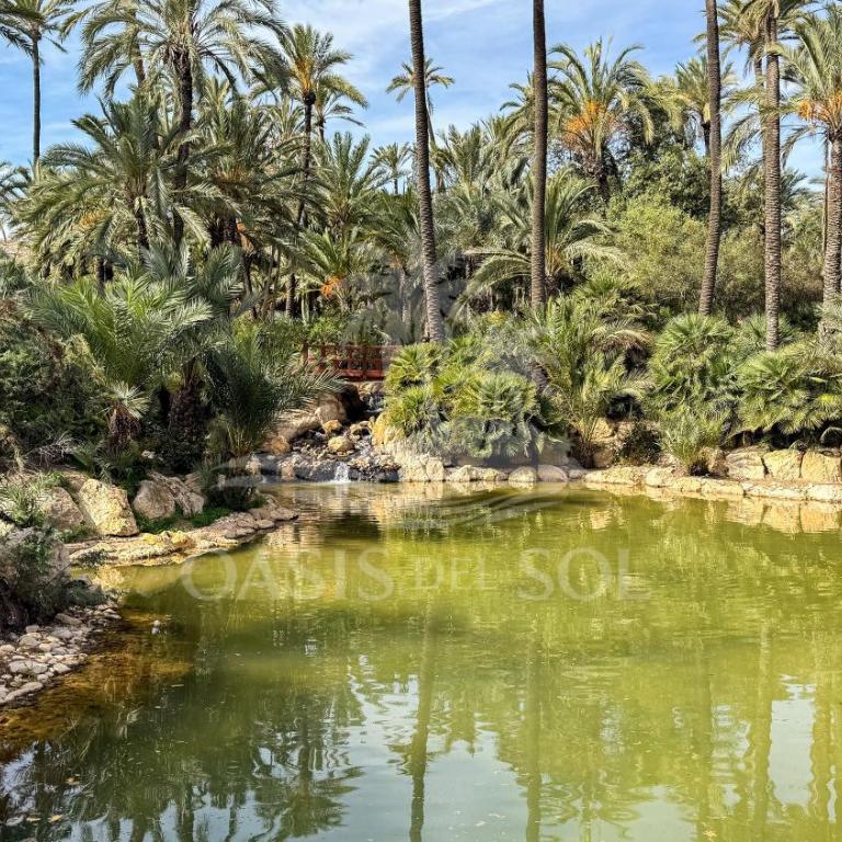 Sunny Place Oasis del Sol - Two-Bedroom Apartment - 90