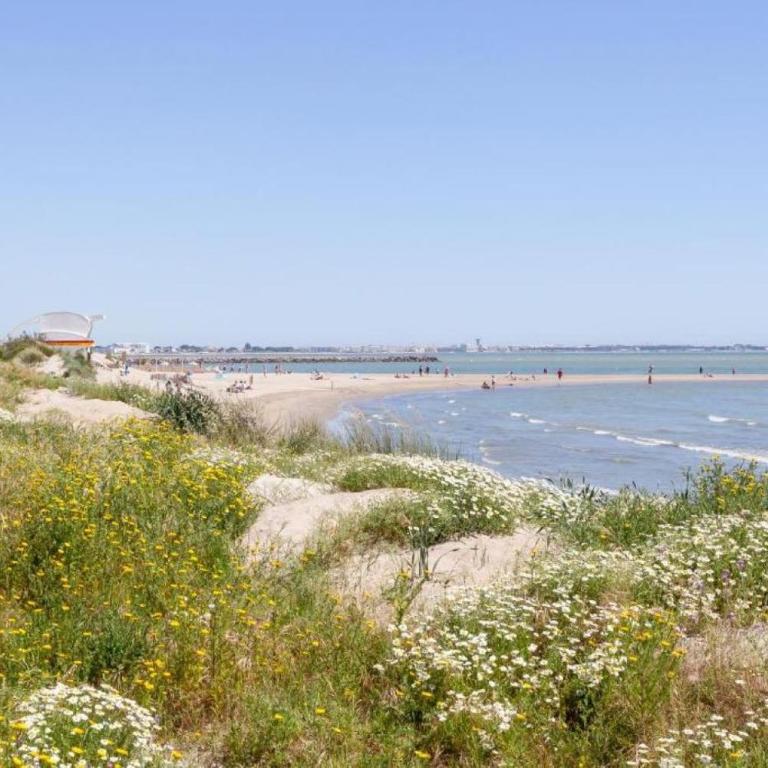 Chez Marie - Bel appartement en centre ville et front de mer - Apartment - 2