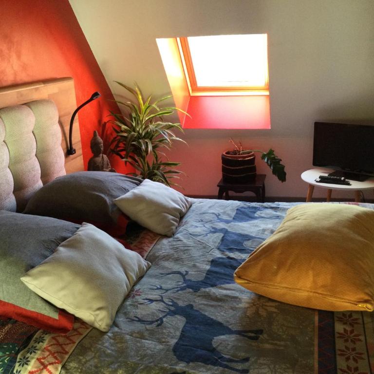 Le petit secret au pied du zoo - One-Bedroom House - 4
