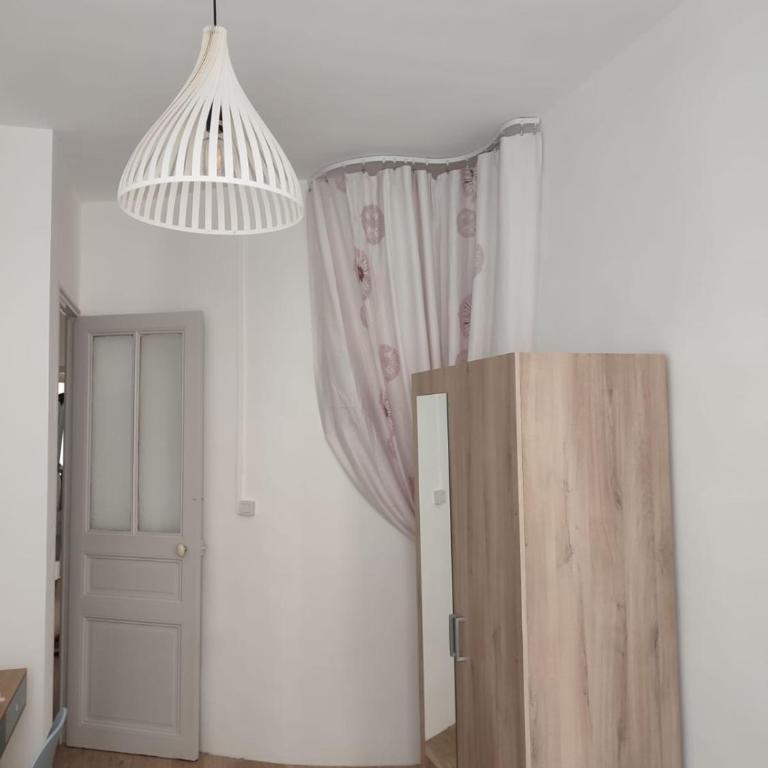 T4 Hausmanien Calme Jardin Alexandre Place de la Liberté - Appartement - 8
