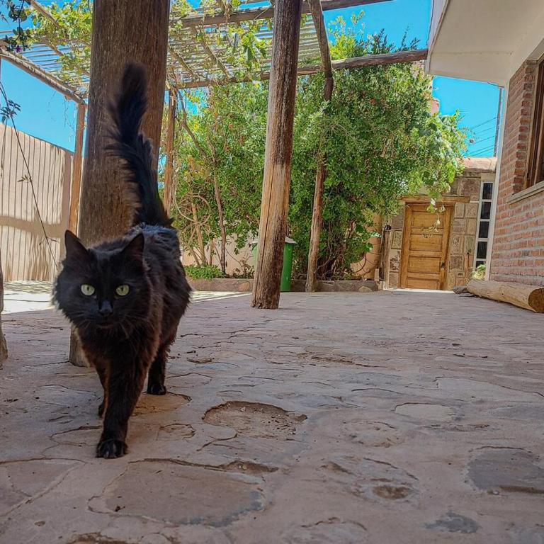 Escalera de piedra 2 - Apartamento de 1 dormitorio - 6