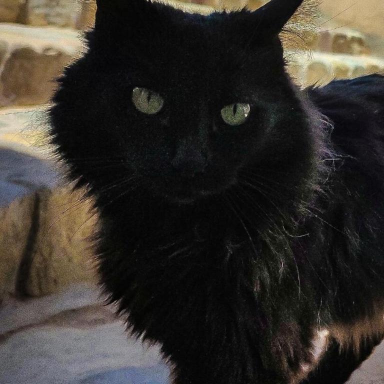 Escalera de piedra 2 - Apartamento de 1 dormitorio - 8