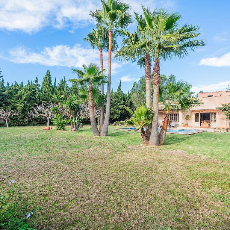 Villa Manyani - By Dream Villas Pollensa - Villa - 25