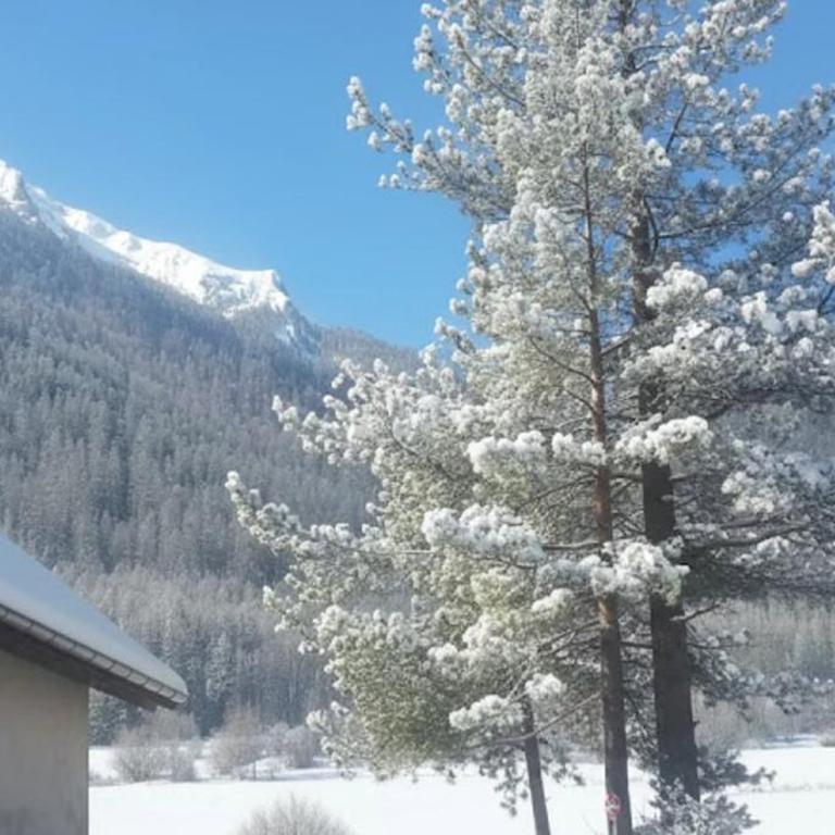 Nice studio in the heart of Le Monêtier-les-Bains - Studio - 1