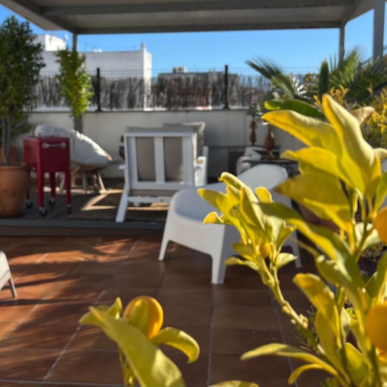 La Terraza de Porvenir 10 - Jerez de la Frontera - Apartamento de 3 dormitorios - 30