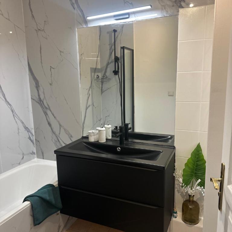 Superbe appartement tout équipé avec parking. - Appartement 1 Chambre - 10