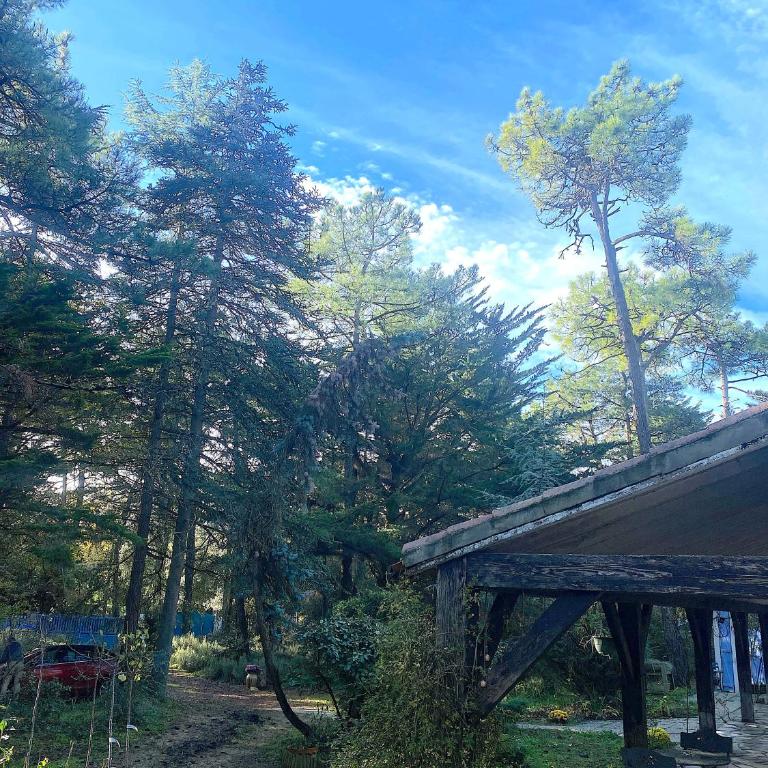 La Cachette d Oona, Grand gîte nature et familles - Casa de 7 dormitorios - 46