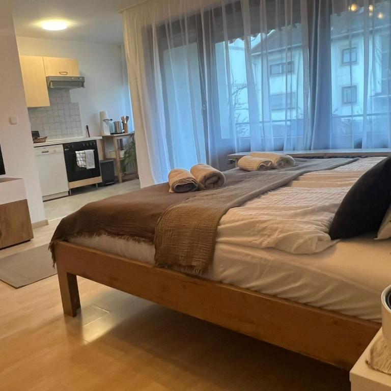 P51 Apartment - Apartment mit Balkon - 3