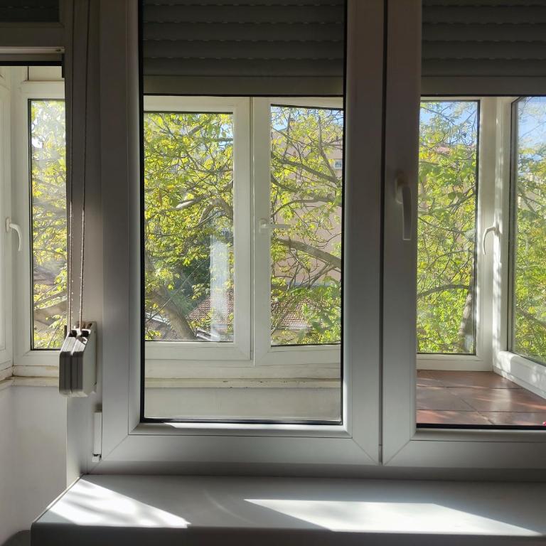 Quiet city center oasis - In the shade of walnut - Apartman sa 1 Spavaćom Sobom - 13