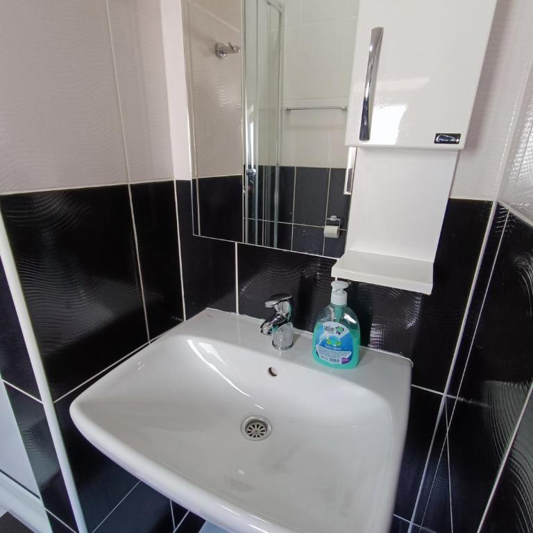 Apartmani Šaltić - Apartman s 1 Spavaćom Sobom, Balkonom i Pogledom na More - 13
