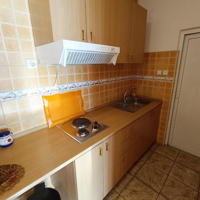Apartmani Šaltić - Apartman sa 1 Spavaćom Sobom, Pogledom na More i Balkonom - 4