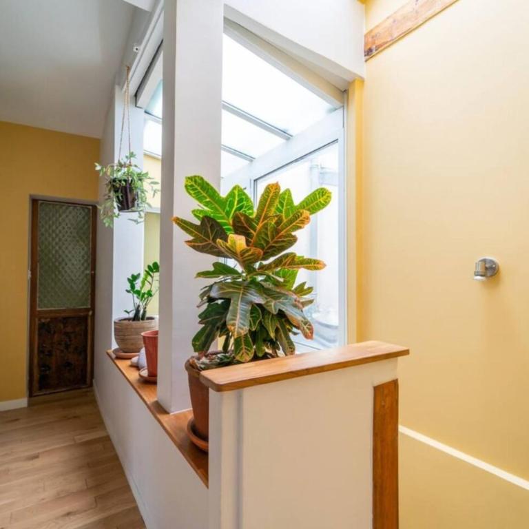 Oberkampf 11e Appartement bohème avec hamac géré par Mey Agency - Appartement 2 Chambres - 17