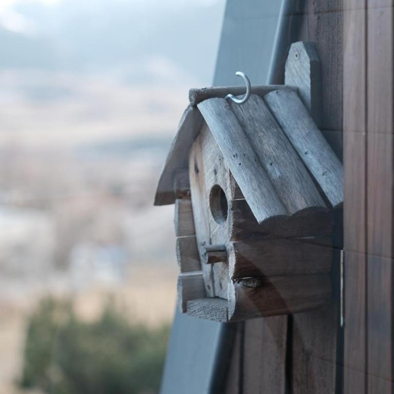 Altitude 1659 - T2 spacieux avec bureau, vue imprenable sur les montagnes - Appartement 1 Chambre - 66