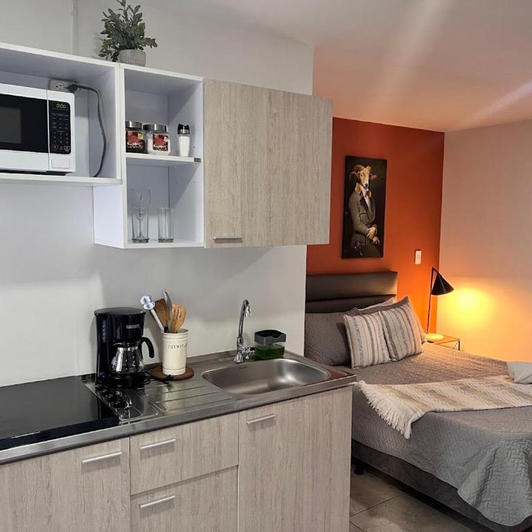 Apartamentos Virginia 34 -No contamos con recepción, ingreso autónomo - Habitación Doble Estándar - 2