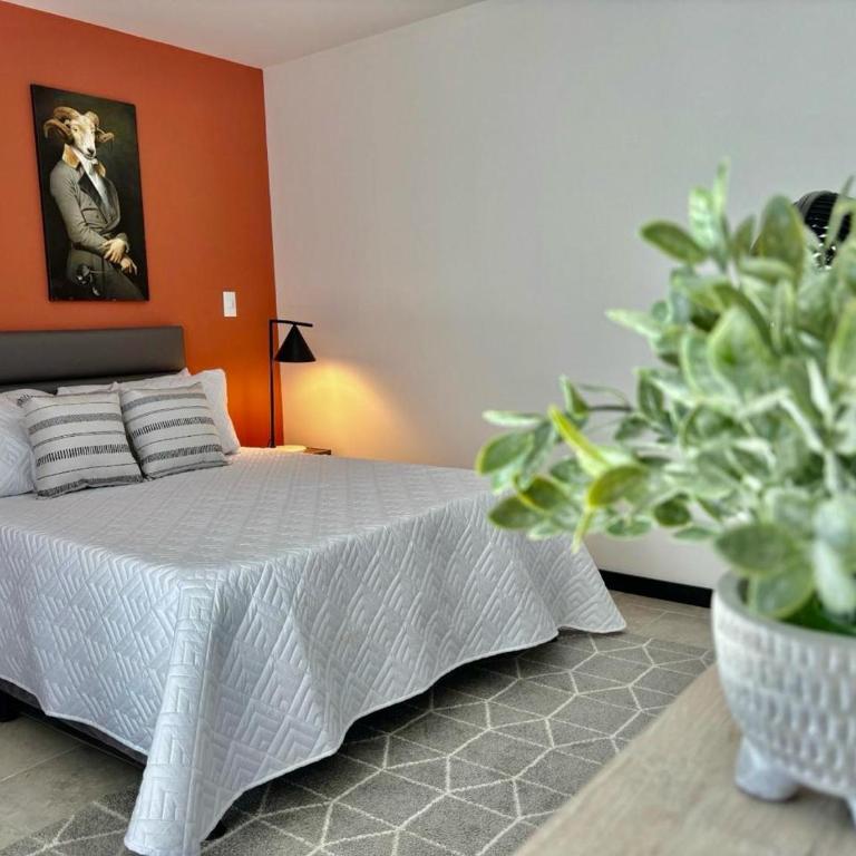 Apartamentos Virginia 34 -No contamos con recepción, ingreso autónomo - Habitación Doble Estándar - 3